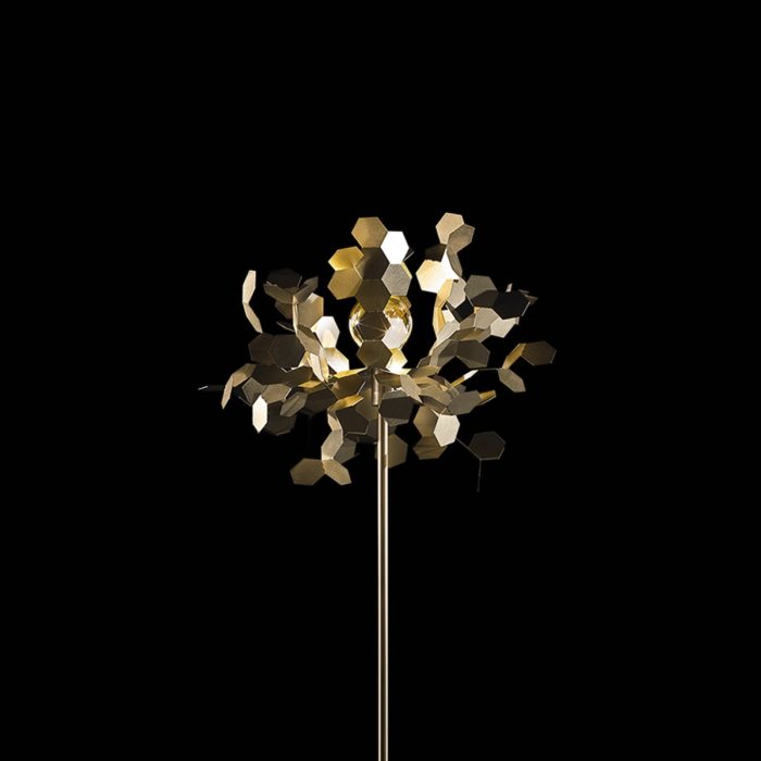 Collection ANDROMEDA