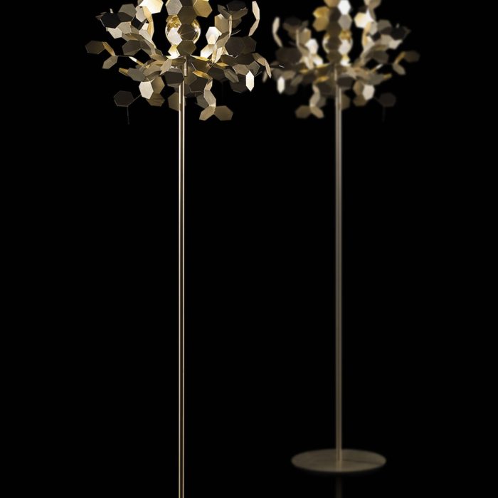 Collection ANDROMEDA